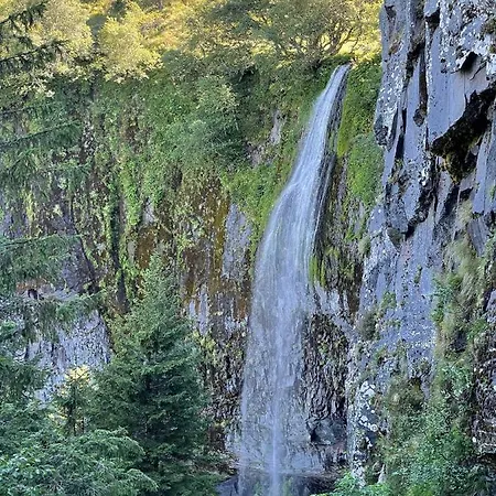 Le Martin Pecheur, Proche Hyper Centre Le Mont-Dore