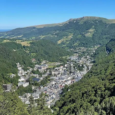 Le Martin Pecheur, Proche Hyper Centre Le Mont-Dore
